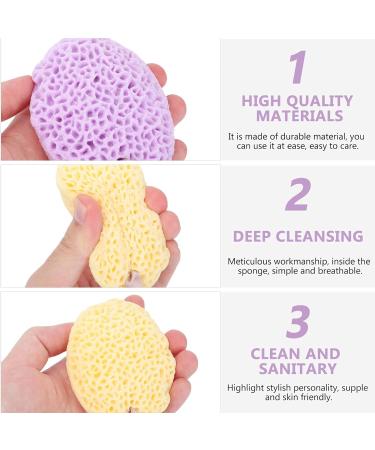 Buy Ipetboom 6 Pcs Bath Ball Loofah Sponge - Greek Honeycomb Bath Scrubber for Home - Soft Hydrophilic Polyurethane Bathroom Accessories - Buy Online on GoSupps.com