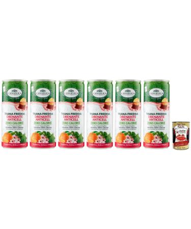 Italian Gourmet E.R. Angelica Drenante Anticell Pack of 6 Cold Tea Infusions: Mandarin Nettle and Cherry Flavors Calorie-Free Sugar-Free 240ml Disposable Box + Italian Gourmet Polpa di Pomodoro 400g Box