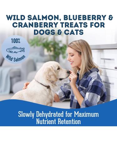 The Granville Island Pet Treatery|Dehydrated Protein Salmon Cranberry & Blueberry Treat for Dogs & Cats Slowly Dehydrated Raw Single Ingredient Maintain Nurtients Vitamins Healthy Oils 80g Salmon with Blueberry & Cranberry 80 g (Pack of 1) - Buy Online on GoSupps.com