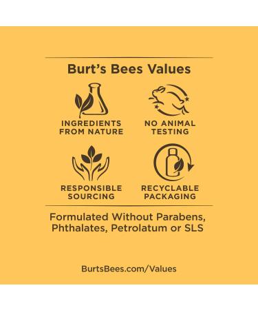 Burt's Bees 100% Natural Facial Cleansing Oil for Normal to Dry Skin - 6 Oz - Buy Online on GoSupps.com