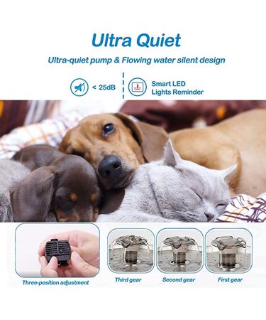 JJYPET 84oz/2.5L Stainless Steel Cat and Dog Water Fountain with Ultra-Quiet Pump and Filters for Multiple Pets - Buy Online on GoSupps.com