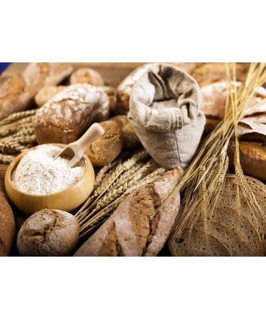 Barley Flour 2 Pounds Non-GMO Stone Ground from Whole Hulled Barley - Fine Powder, Kosher & Vegan - Rich in Fiber - Wheat Flour Alternative - Ideal for Baking - Product of USA (2 lb) - Buy Online on GoSupps.com
