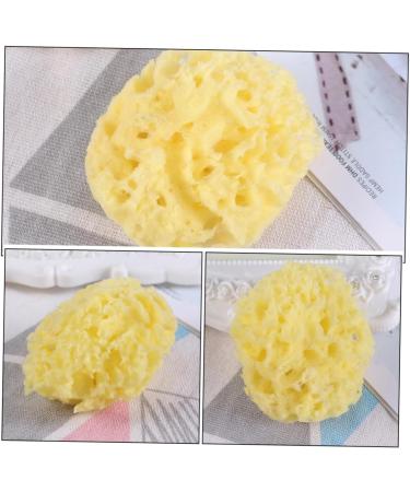 Buy PRETYZOOM 4 Pcs Natural Children's Bath Sponge Set - Exfoliating Body Wash Scrubber for Kids - Eco-Friendly Bathing Supplies - Buy Online on GoSupps.com