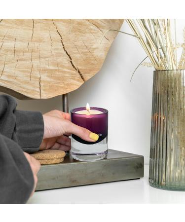 Wilderness Jasmine Scented Candles for Women | Long Burning Purple Glass Soy Candle | Perfect Gift for Holidays & Home Decor - Buy Online on GoSupps.com