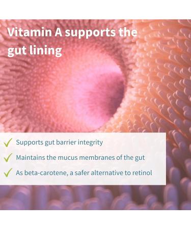 25 Billion CFU Live Cultures Probiotic & Prebiotic Supplement for Gut Health | Bloating Relief | Lactobacillus Acidophilus & Bifidobacterium | Vegan | 30 Capsules by Igennus - Buy Online on GoSupps.com