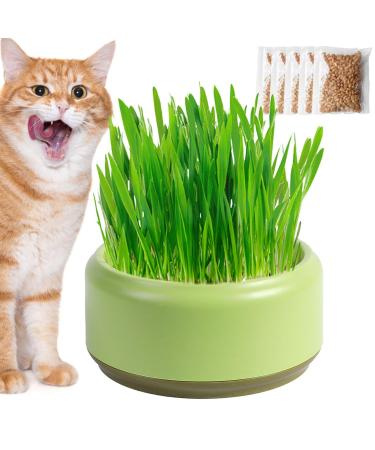 Firulab Cat Grass Growing Kit Cat Grass Bowl Planter Tray Catnip and Bowl Cat Grass Kit with Seeds DIY Soil Free Kitten Grass Growing Kit for Cat Snacks Green