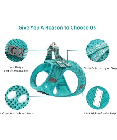 Balaynor Cat Harness and Leash Set - Escape Proof and Comfortable Vest for Walking - Adjustable Size L (Chest 15.5-17.5) - Turquoise with Reflective Strips - Buy Online on GoSupps.com