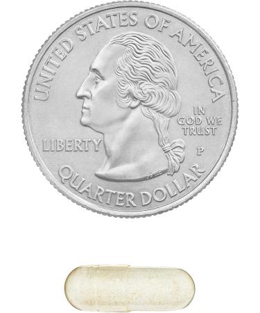 Equate Gas and Bloating Relief Prevention Food Enzyme Dietary Supplement Capsules 100 Count (Pack of 1) - Set by Basket Goods - Buy Online on GoSupps.com