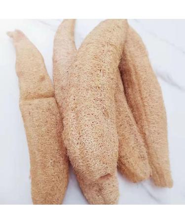Natural Loofah Exfoliating Sponge Pack of 4 - Organic Biodegradable Shower Loofah for Healthy Skin - Buy Online on GoSupps.com
