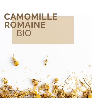 Herbes du Monde - Tisane Camomille Romaine Fleur - Origine France - Infusion D tox Digestive Am liore le Sommeil - 1 sachet de 40g 40 g (Lot de 1) - Buy Online on GoSupps.com