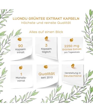 Luondu Green Tea Extract Capsules - High-Dose 2250mg | 90 Vegan Capsules with 339mg EGCG & 1125mg Polyphenols - Premium Quality Green Tea Supplement - Buy Online on GoSupps.com