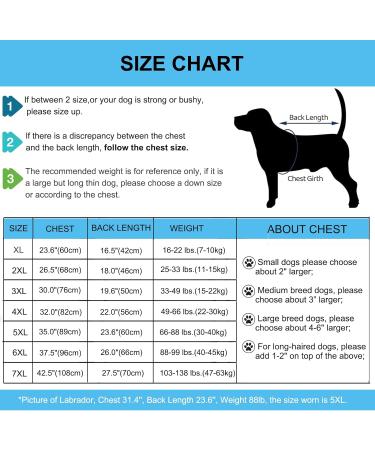 Dog Rehabilitation Suit - Soft Long-Sleeved Post-Surgery Shirt for Large & Medium Dogs | Conical Alternatives for Licking | Surgical One-Piece (7XL Shark) - Buy Online on GoSupps.com