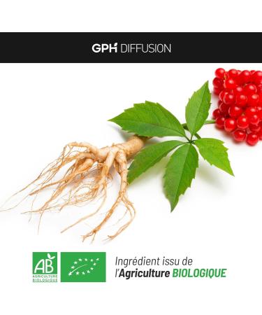 Organic Red Ginseng - 300 mg - 200 Vegetable Capsules - Buy Online on GoSupps.com