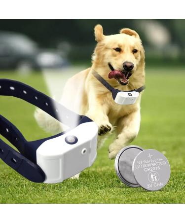 CR2016 3V Lithium Coin Cell Battery CR 2016 3V Lithium Batteries DL2016 ECR2016 Battery 2016 for Car Key Fob Watch Dogs Collar Door Opener 10pcs - Buy Online on GoSupps.com