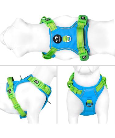 Phoepet No Pull Dog Harness - Reflective Vest with Soft Training Handle for All Dog Sizes (Blue Base & Green Straps) - Buy Online on GoSupps.com
