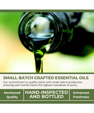 H.E.A.L.'s Frosted Fire Essential Oil Blend 1oz Wintergreen Basil Marjoram Peppermint Sage Chamomile Lavender Blend for Diffusers - Buy Online on GoSupps.com