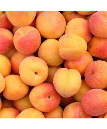 Corine de Farme Kids Shampoo for Children 300 ml Extra Gentle Childrens Product Apricot Perfume Natural Cosmetics France Sensitive Skin - Buy Online on GoSupps.com