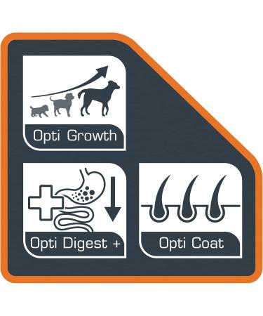 VERSELE-LAGA - Opti Life Puppy Sensitive All Breeds - Croquettes for Sensitive Puppies - All Breeds - 12.5kg - Buy Online on GoSupps.com