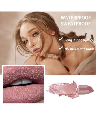 Nude Long Lasting Moisturizing Pink Lipstick - Waterproof Velvet Matte Lip Gloss (#609 Flesh Pink) - Perfect Makeup Gift for Women - Buy Online on GoSupps.com