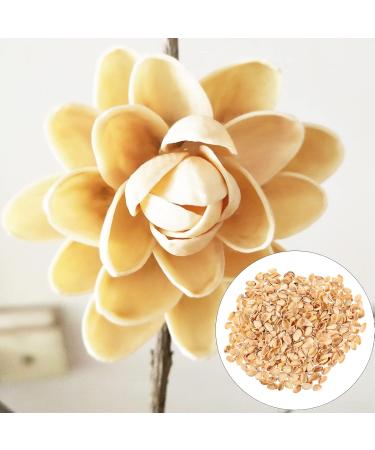 EXCEART 1 Bag of Multifunctional Novel Decorative Painting DIY Tools DIY Art Craft Kit for Kids 2X1.2CM - Buy Online on GoSupps.com