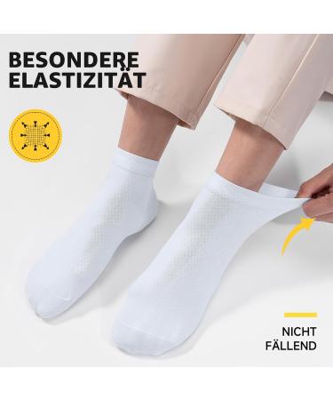 Alaplus Unisex Cotton Sports Socks - Breathable Sneaker Socks for Men & Women | 10 Pairs (39-42) - Ideal for Running & Everyday Use - Buy Online on GoSupps.com