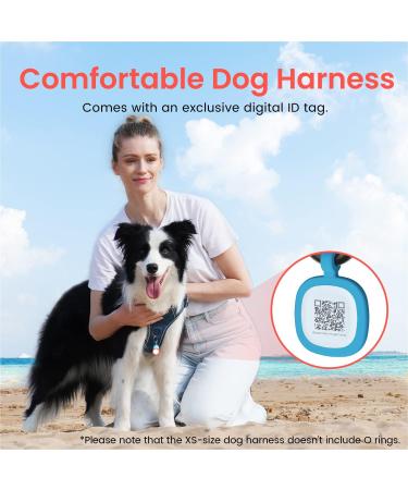Pawaii XS Dog Harness for Small Dogs - Anti-Pull Reflective Adjustable Breathable Chest Harness with Handle - Deep Sea Blue - Buy Online on GoSupps.com