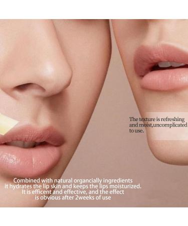 Turmeric Moisturizing Lip Balm Reduce Lip Wrinkles Lip Scrub Exfoliating Natural Lip Balm Moisturizer Restore Natural Lip Tone for Dry Lips (6pcs) - Buy Online on GoSupps.com