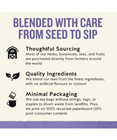 Celestial Seasonings Sleepytime Wellness Sinus Soother Tea Caffeine Free 20 Tea Bags Box 6-Pack - Buy Online on GoSupps.com
