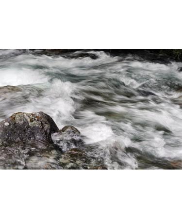 Cokin P-Series ND2 (0.3) Neutral Grey Filter - Reduce Light for Better Photography - Buy Online on GoSupps.com