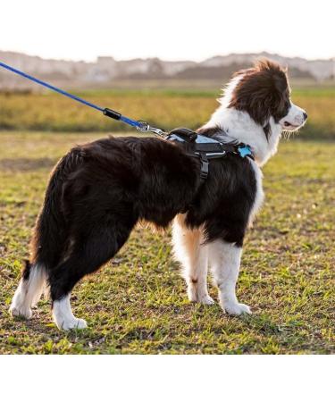 Buy Dongker Hofleine Dog 3m Tie-Out Leash - Heavy Duty 360 Rotating Buckle for Small/Medium Dogs Up to 130 lbs - Black - Buy Online on GoSupps.com