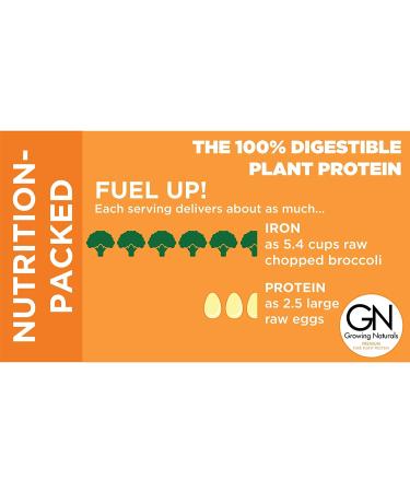 Growing Naturals Organic Vanilla Pure Rice Protein Powder - 1lb Pack - Non-GMO, Vegan, Gluten-Free, Keto-Friendly, Shelf-Stable - Buy Online on GoSupps.com