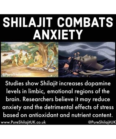 Pure Shilajit UK Resin 10g - Premium 1 Month Supply - Buy Online on GoSupps.com