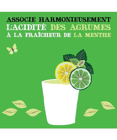 CLIPPER - Organic Refreshing Drink - Fusion Lemon Lime Mint - No added sugar - 25cl x 12 - Buy Online on GoSupps.com