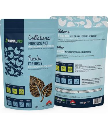 AnimalPro Mealworms and Crickets 227 g - 0 5 LB - Buy Online on GoSupps.com