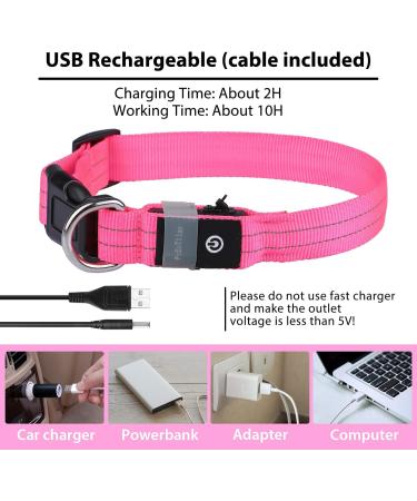 PCEOTLLAR Luminous Dog Collar - Adjustable LED Light Reflective Band for Small Medium & Large Dogs - Pink XS (25-32cm) - Buy Online on GoSupps.com