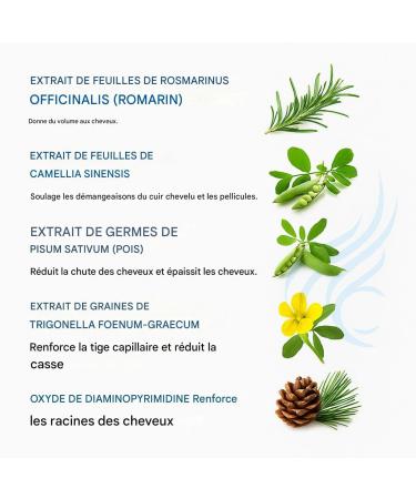 Croissance Capillaire Homme - Produits Anti Chute | Conditionneur Liquide Naturel 125mL Sant Cuir Chevelu Hommes Femmes R paration - Buy Online on GoSupps.com