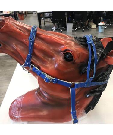 Halter for Horse | Safety Halter Chin & Throat Snap Heavy Duty Tied Halter Colorful Padded Nylon Size Horse Care for Horse Grooming Training Pochy Blue - Buy Online on GoSupps.com
