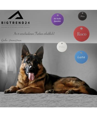 Custom Aluminum Pet Tags | Engraved Dog & Cat Name Tags | International Shipping - Buy Online on GoSupps.com