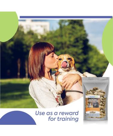 Budget Pet Freeze Dried Beef Liver Treats for Pets 500g Bag - Chews Pure and All Nutritive Low Calorie Training Treats - Large and Small Breeds Flavor Your Pets Will Love. - Buy Online on GoSupps.com