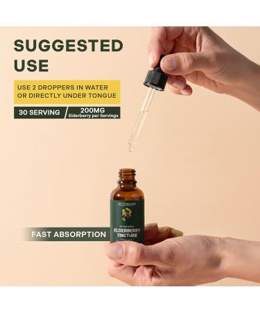 Betterbrand BetterLungs Elderberry Tincture, Natural Immune Support Supplement - Sugar-Free, Non-GMO, Alcohol Free, Vegetarian - 30 Day Supply - Buy Online on GoSupps.com
