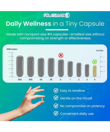 FolateMaxx L-Methylfolate 15mg 120 Capsules Doctor Formulated Methyl Folate Supplement for Women & Men High Potency 5-MTHF for Energy Mood & Focus Non-GMO Gluten-Free (4-Month Supply) 120 Count (Pack of 1) - Buy Online on GoSupps.com
