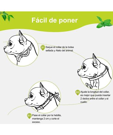 DEWEL 63.5cm Adjustable Waterproof Dog Collar - Effective Tick & Flea Prevention for Dogs & Cats - Buy Online on GoSupps.com