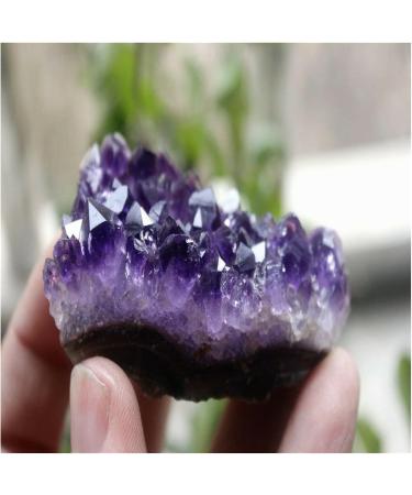 Natural Crystal Rough Crystal Cluster Natural Mini Amethyst Crystal Clusters of RAW ORE (Size : 200-250g) - Buy Online on GoSupps.com