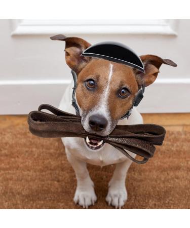 Dog Sunglasses - Dog Goggles | Pet Helmet Set Dog Safety Helmet Small Dog Helmet Goggles Blind Dog Helmet Dog Cat Accessories Windproof Snow Proof Eye Head Protection (M Helmet + Glasses) M Helmet + Glasses - Buy Online on GoSupps.com