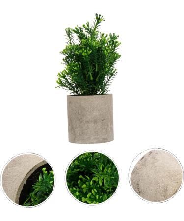 TOPBATHY False Green Plant 5 Pcs Simulated Potted Plant Pulp Potted Plants Household Fake Trees Artificial As Shownx5pcs 21.5x8cmx5pcs - Buy Online on GoSupps.com