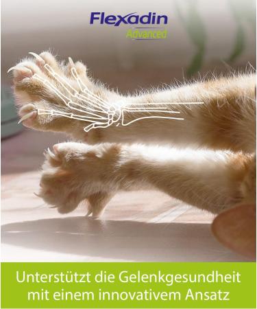 Flexadin Advanced Cat - Joint Health Supplement with UC-II Collagen | Innovative Formula for Feline Mobility - 30 Soft Chews - Buy Online on GoSupps.com