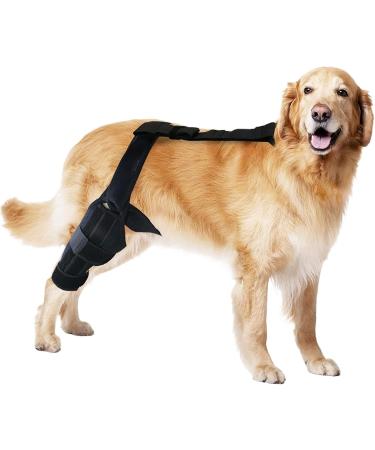 Dog Behind Leg Brace | Dog ACL Knee Support Brace - Support Dog Knee Brace Neoprene Hip Brace Adjustable Traction Belt for Knee for Cruciate Ligament Injury for Torn ACL Leg M right - Buy Online on GoSupps.com
