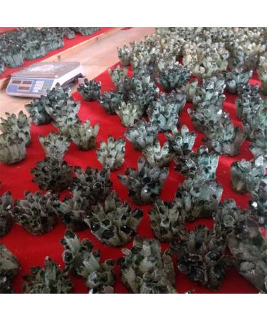 Natural Crystal Rough Natural Quartz Crystal Natural Green Ghost Phantom Quartz Crystal Cluster Rock Stones and Crystals Specimen Home Decor 300-800g Home Office Decor (Size : 500-600g) - Buy Online on GoSupps.com