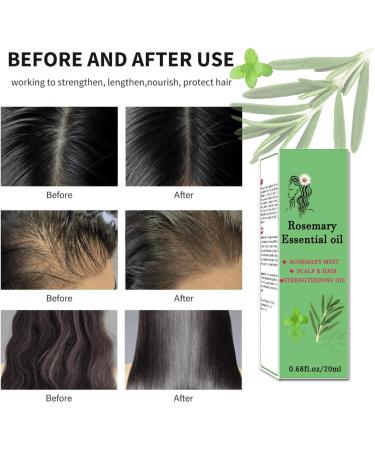 Trendyfave Rosemary Oil For Hair Growth Nourishes Hair Care Essential Oil Anti Frizz Hair Serum Ginger Hair Oil for Dry Damaged Hair | Repairs Smoothens Revitalizes Your Hair - for All Hair Types - Buy Online on GoSupps.com