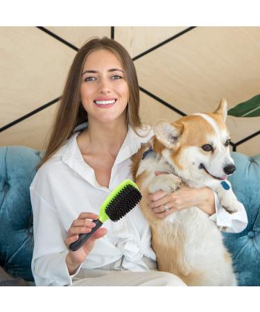 Rexipets Double-Sided Pet Grooming Set for Dogs & Cats - Small Deshedding Tool with Strong Grip - Lice & Flea Removal - Soft Bristles for Ultimate Grooming - Buy Online on GoSupps.com
